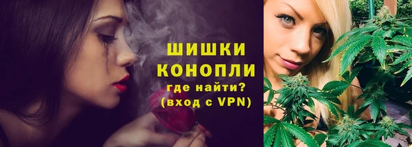 крисы Михайловск