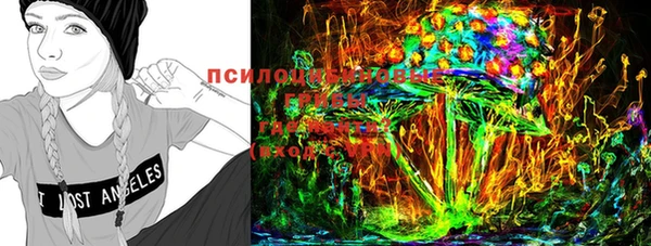 крисы Михайловск