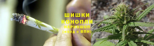 крисы Михайловск