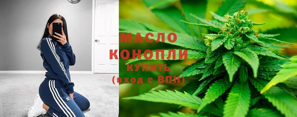 крисы Михайловск