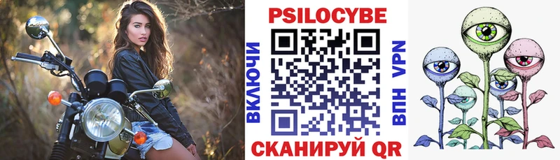 Купить Мышкин Псилоцибиновые грибы прущие грибы